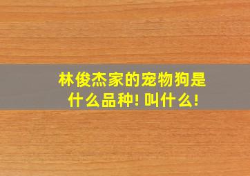 林俊杰家的宠物狗是什么品种! 叫什么!