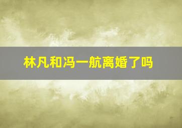 林凡和冯一航离婚了吗