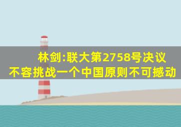 林剑:联大第2758号决议不容挑战,一个中国原则不可撼动