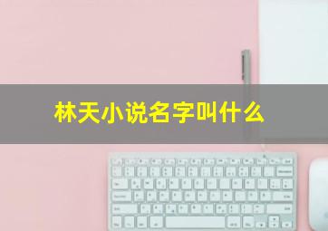 林天小说名字叫什么