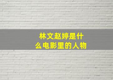 林文赵婷是什么电影里的人物