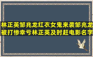 林正英邹兆龙红衣女鬼来袭邹兆龙被打惨,幸亏林正英及时赶电影名字...