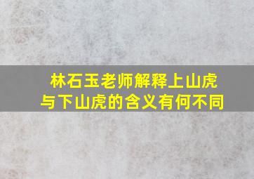 林石玉老师解释上山虎与下山虎的含义有何不同