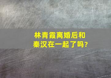 林青霞离婚后和秦汉在一起了吗?