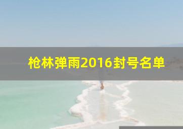 枪林弹雨2016封号名单