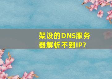 架设的DNS服务器解析不到IP?