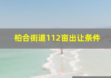 柏合街道112亩出让条件