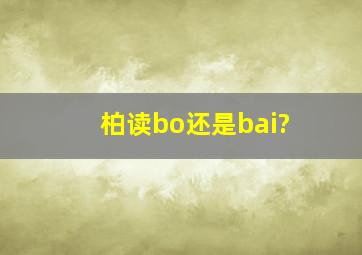 柏读bo还是bai?