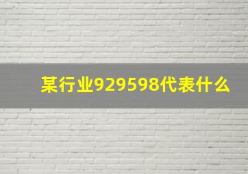 某行业929598代表什么