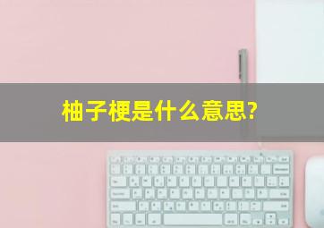 柚子梗是什么意思?