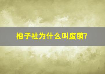 柚子社为什么叫废萌?