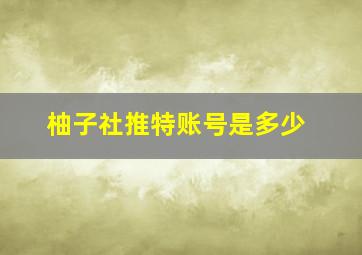 柚子社推特账号是多少