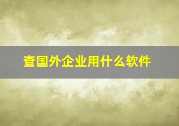 查国外企业用什么软件