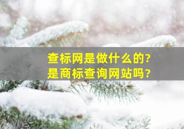 查标网是做什么的?是商标查询网站吗?