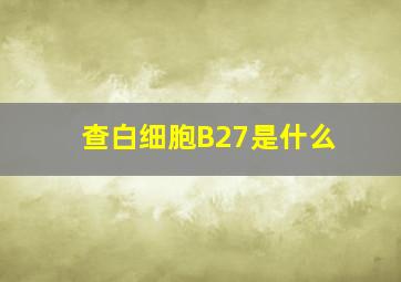 查白细胞B27是什么