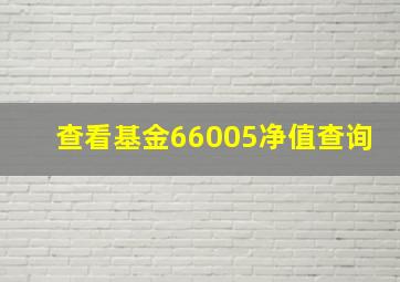 查看基金66005净值查询