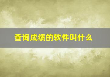 查询成绩的软件叫什么