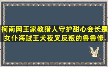 柯南,网王,家教,猎人,守护甜心,会长是女仆,海贼王,犬夜叉,反叛的鲁鲁修...