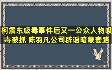 柯震东吸毒事件后又一公众人物吸毒被抓 陈羽凡公司辟谣暗藏套路