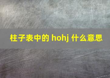 柱子表中的 ho,hj 什么意思