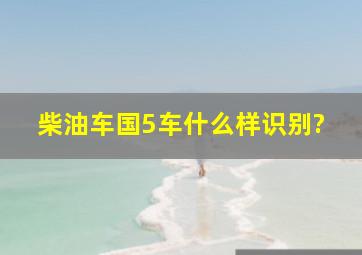 柴油车国5车什么样识别?