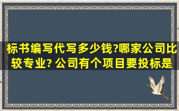 标书编写代写多少钱?哪家公司比较专业? 公司有个项目要投标,是设备...