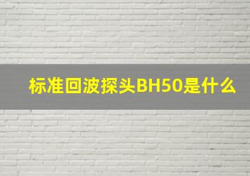 标准回波探头BH50是什么(