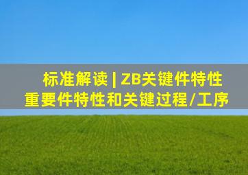 标准解读 | ZB关键件(特性)、重要件(特性)和关键过程/工序 