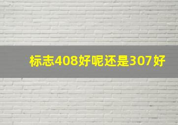 标志408好呢还是307好