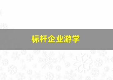 标杆企业游学