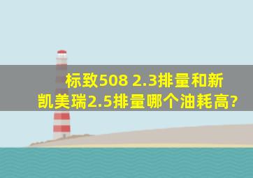 标致508 2.3排量和新凯美瑞2.5排量哪个油耗高?