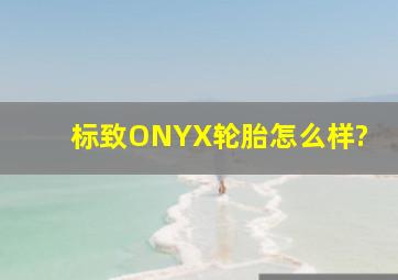 标致ONYX轮胎怎么样?