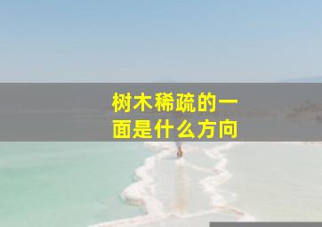 树木稀疏的一面是什么方向