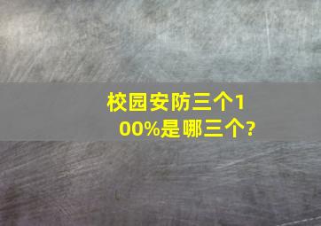 校园安防三个100%是哪三个?