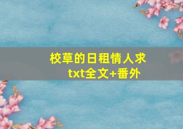 校草的日租情人求txt全文+番外