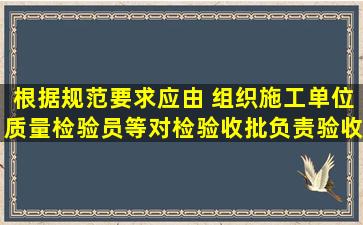 根据规范要求,应由( )组织施工单位质量检验员等对检验(收)批负责验收。