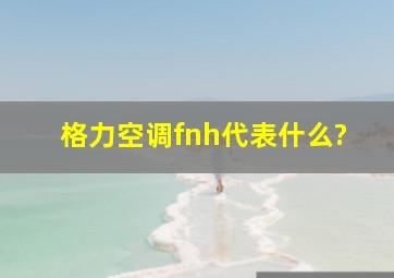 格力空调fnh代表什么?