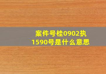 案件号桂0902执1590号是什么意思