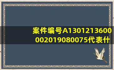 案件编号A1301213600002019080075代表什么意思