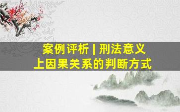 案例评析 | 刑法意义上因果关系的判断方式 