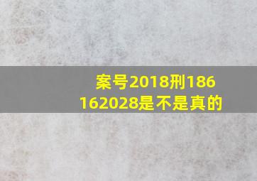 案号(2018)刑186162028是不是真的