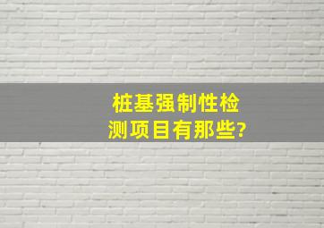 桩基强制性检测项目有那些?