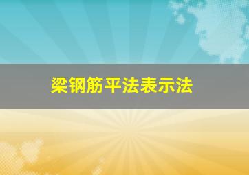 梁钢筋平法表示法