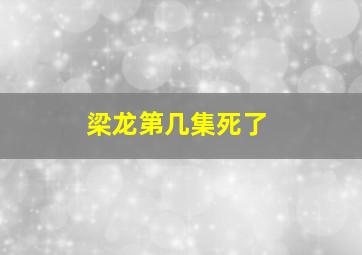 梁龙第几集死了