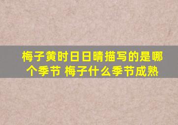 梅子黄时日日晴描写的是哪个季节 梅子什么季节成熟