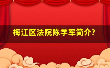 梅江区法院陈学军简介?