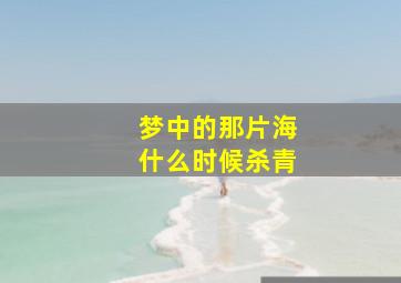 梦中的那片海什么时候杀青