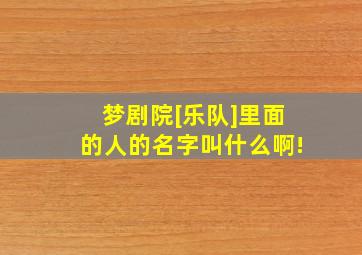 梦剧院[乐队]里面的人的名字叫什么啊!