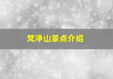 梵净山景点介绍