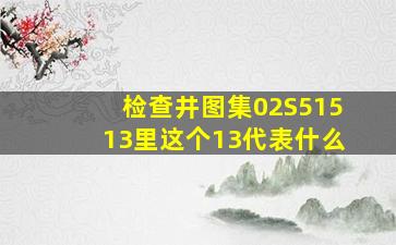 检查井图集02S51513里这个13代表什么